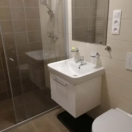 Apartman Praded V Rickach - Ricky V Orlickych Horach Exterior photo