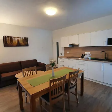 Apartman Praded V Rickach - Ricky V Orlickych Horach Exterior photo